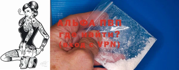 прущие грибы Горняк
