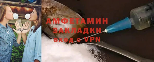 прущие грибы Горняк