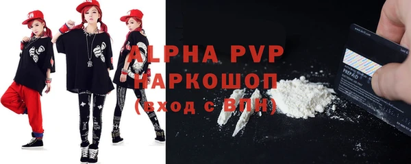 прущие грибы Горняк