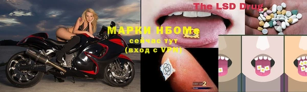 прущие грибы Горняк