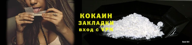 прущие грибы Горняк
