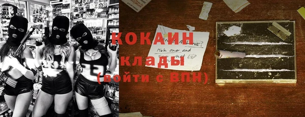 прущие грибы Горняк