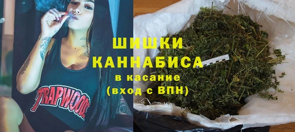 прущие грибы Горняк
