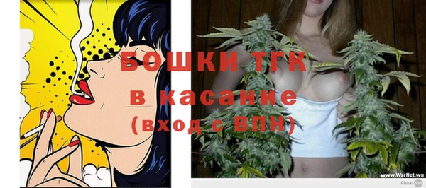 прущие грибы Горняк