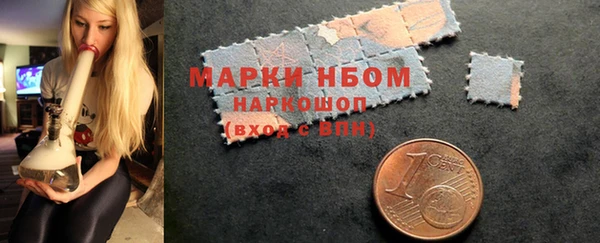 прущие грибы Горняк