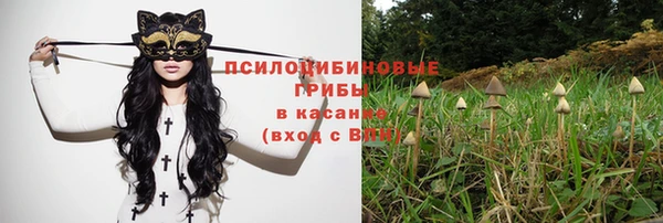 mdpv Вязьма